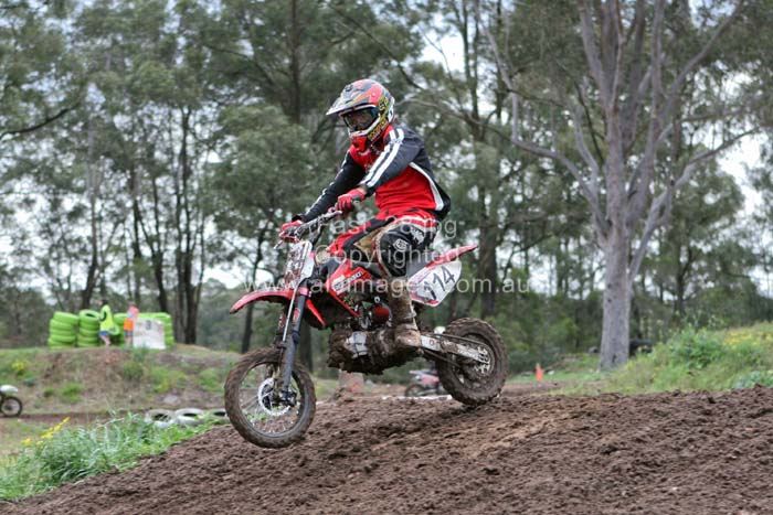 678x444 pixels (83K)